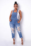 Workaholic Jumpsuit - Medium Wash