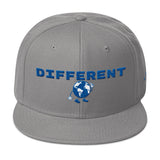 Alotofit Different Blue/White Snapback Hat w/side branding